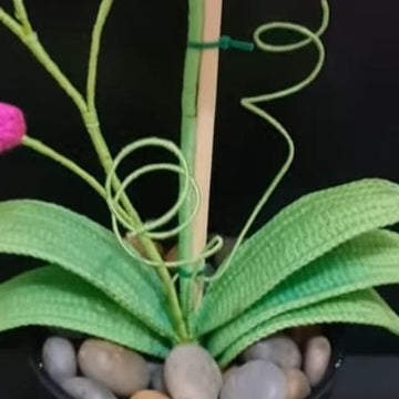 Crochet Orchid flower