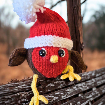 Robin - Chocolate Orange Cosy