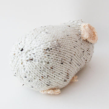 Guinea Pig Toy