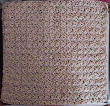 Gritty Washcloth