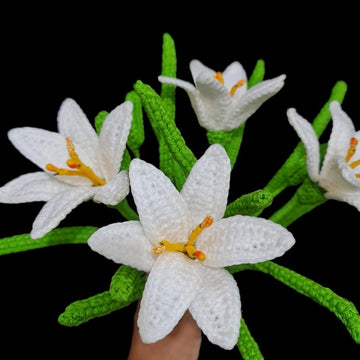 Rain Lily flower