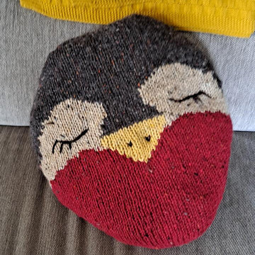 Spideog Cushion