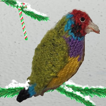 A Rainbow of Aussie Birds