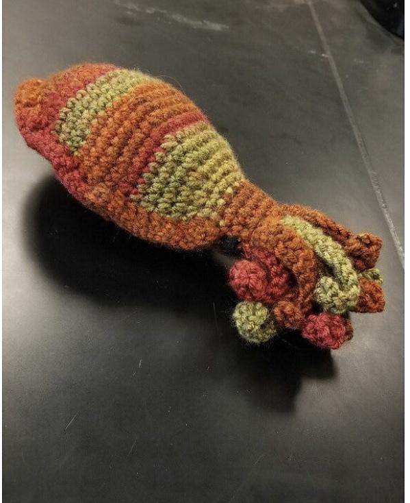 Amigurumi Cuttlefish