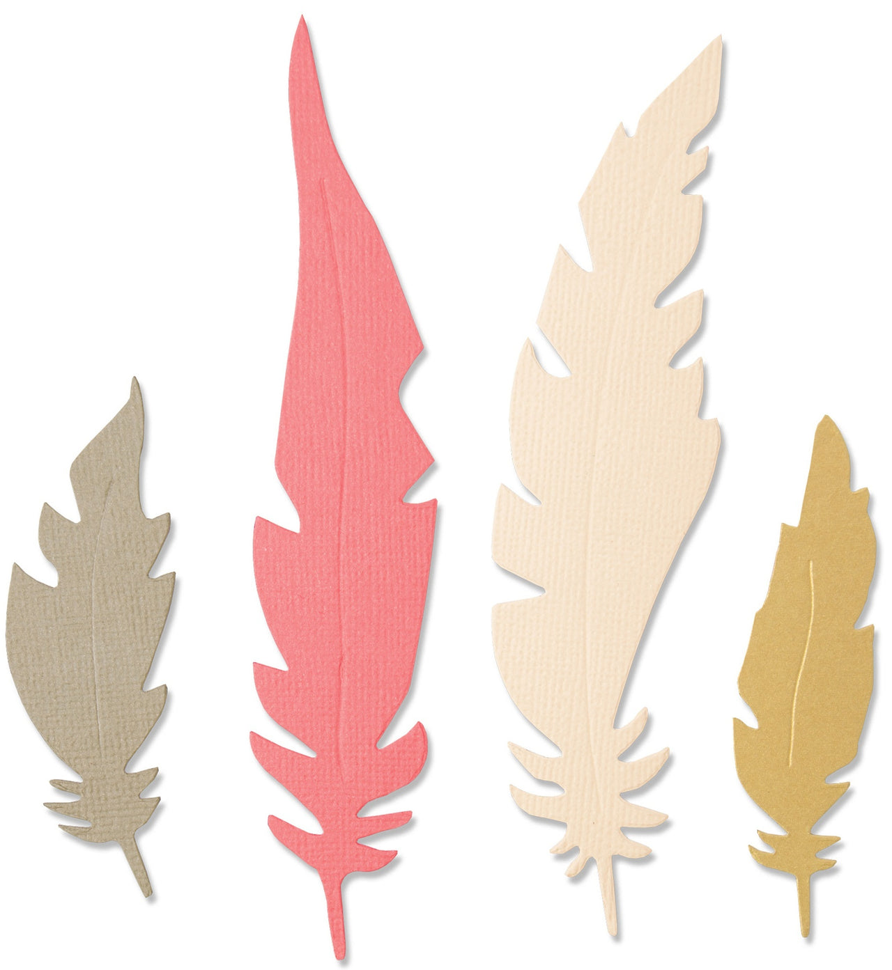 Sizzix Bigz Die By Jenna Rushforth - Natural Feathers