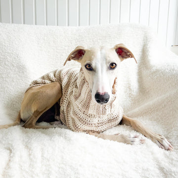 Doggo no 14 sweater