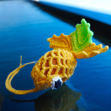 Fish Easter Egg Cover