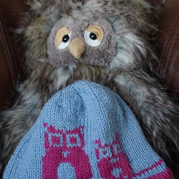 Two Hoots Hat
