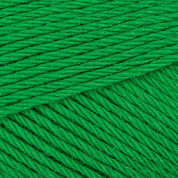Curled Fern (232)