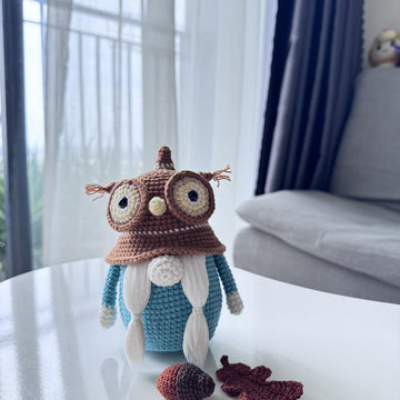 Wise Owl Gnome