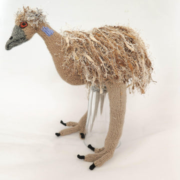 Australian Emu Bird
