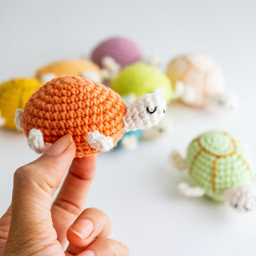 Pocket Pal Turtles
