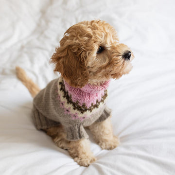 Happy Dog Sweater