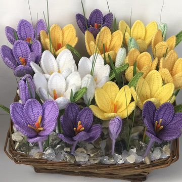 Crocus Crochet Pattern