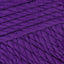 Pansy Purple (1147)