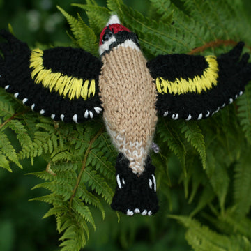 Charming Goldfinch