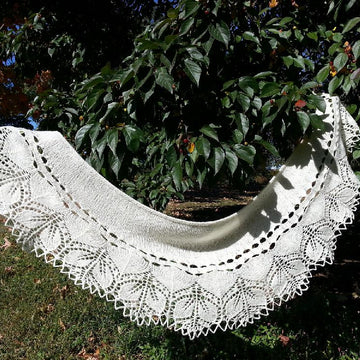 Rose, Rose Shawl