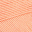 Salmon (00296)