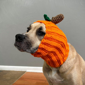 Pumpkin Dog Snood