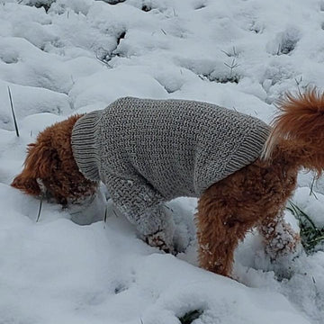 Dog Sweater Charlie No.3
