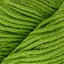 Bright Lime Green (3726)