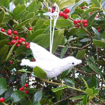 Petite Dove