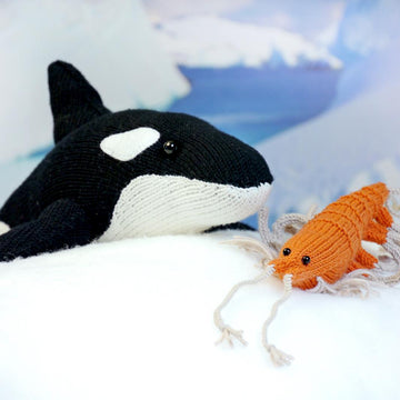 Orca Arrluk (Killer Whale)