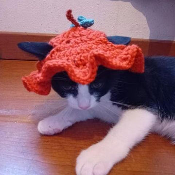 Crochet halloween pumpkin hat for cats