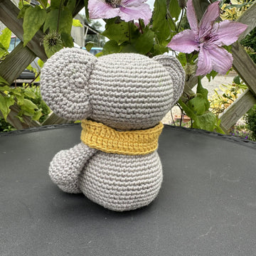 Kylo the Koala