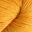 Sunflower (241)