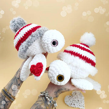 Turtle winter