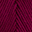 Boysenberry (1907)