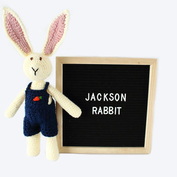 Jackson Rabbit
