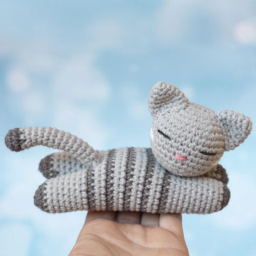 Sleeping kitten