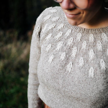 Into the woods (jumper)