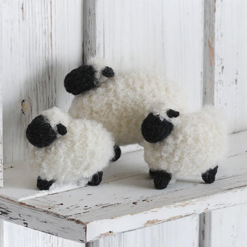Woolly Family
