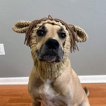 Horse Dog Snood