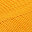Sunflower (1001)