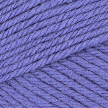 Blue Iris (116)