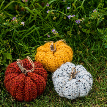 Pumpkin Decor