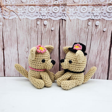 Chihuahua Couple