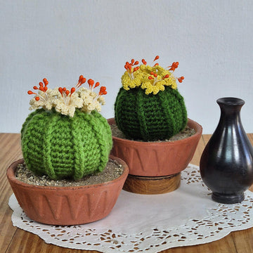 Ball cactus with flower
