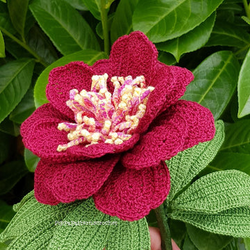 Peony Sword Dance