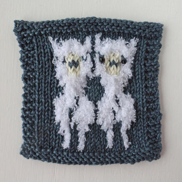 Alpacas on a Hat
