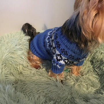 Yoke Dog Sweater