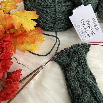 Winding River Socks