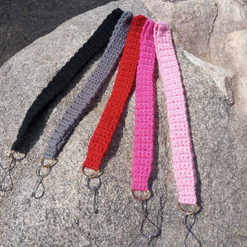 SC Keychain and Lanyard