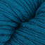 Blue Coral (15)