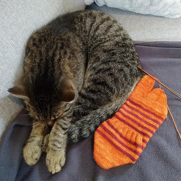 Tabbies