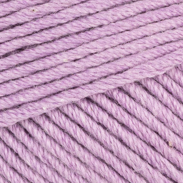 Magnolia (01041)